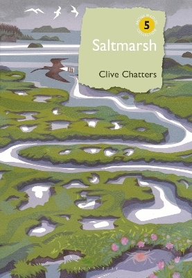 Saltmarsh - Clive Chatters