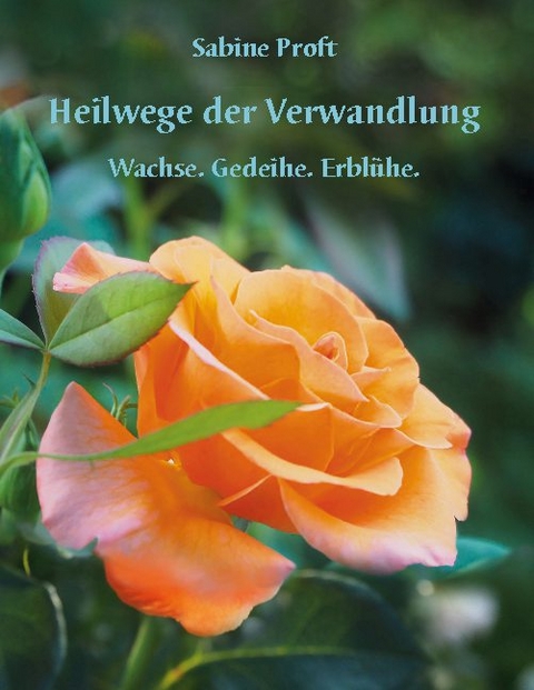 Heilwege der Verwandlung - Sabine Proft