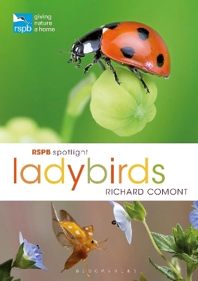 RSPB Spotlight Ladybirds - Richard Comont