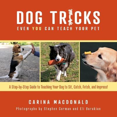 Dog Tricks Even You Can Teach Your Pet - Carina Macdonald