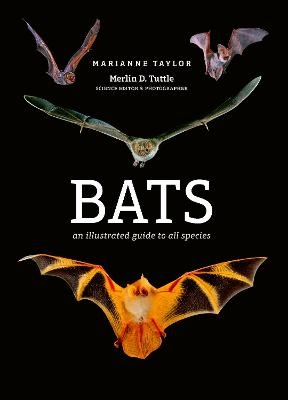 Bats - Marianne Taylor