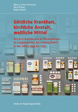 Göttliche Krankheit, kirchliche Anstalt, weltliche Mittel - Niklas Lenhard-Schramm, Dietz Rating, Maike Rotzoll