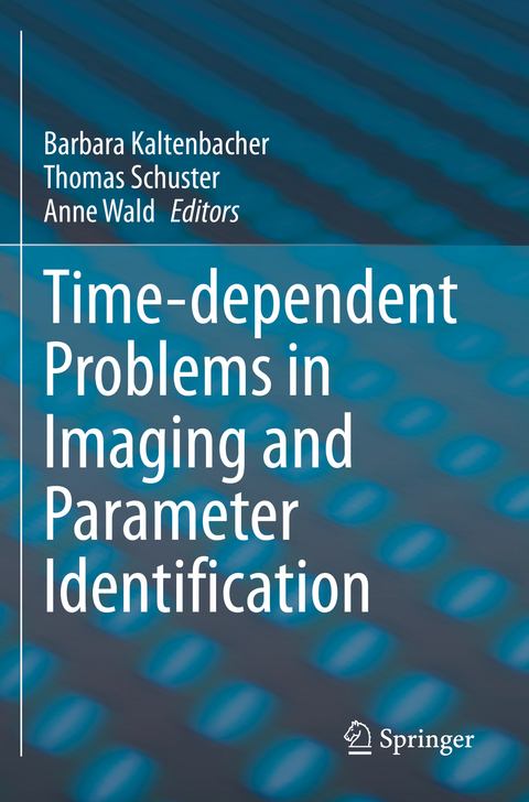 Time-dependent Problems in Imaging and Parameter Identification - 