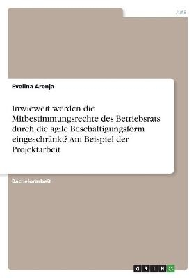 Inwieweit werden die Mitbestimmungsrechte des Betriebsrats durch die agile BeschÃ¤ftigungsform eingeschrÃ¤nkt? Am Beispiel der Projektarbeit -  Anonym