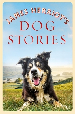 James Herriot's Dog Stories - James Herriot