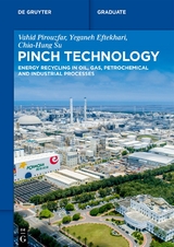 Pinch Technology - Vahid Pirouzfar, Yeganeh Eftekhari, Chia-Hung Su