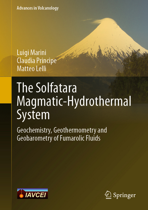 The Solfatara Magmatic-Hydrothermal System - Luigi Marini, Claudia Principe, Matteo Lelli