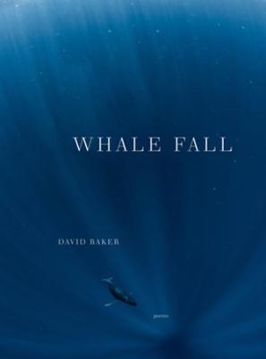 Whale Fall - David Baker