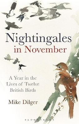 Nightingales in November - Mike Dilger