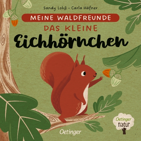 Meine Waldfreunde. Das kleine Eichhörnchen - Carla Häfner