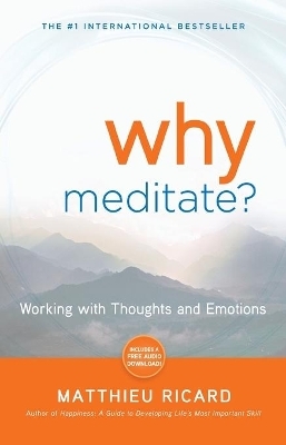 Why Meditate - Matthieu Ricard