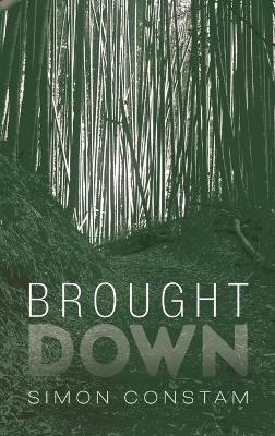 Brought Down - Simon Constam