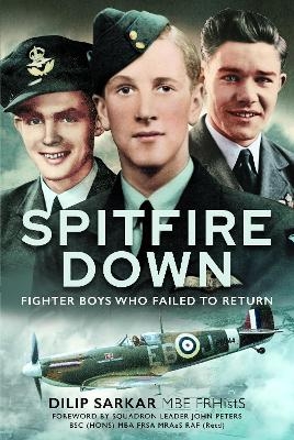 Spitfire Down - Dilip Sarkar