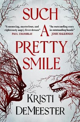 Such a Pretty Smile - Kristi Demeester