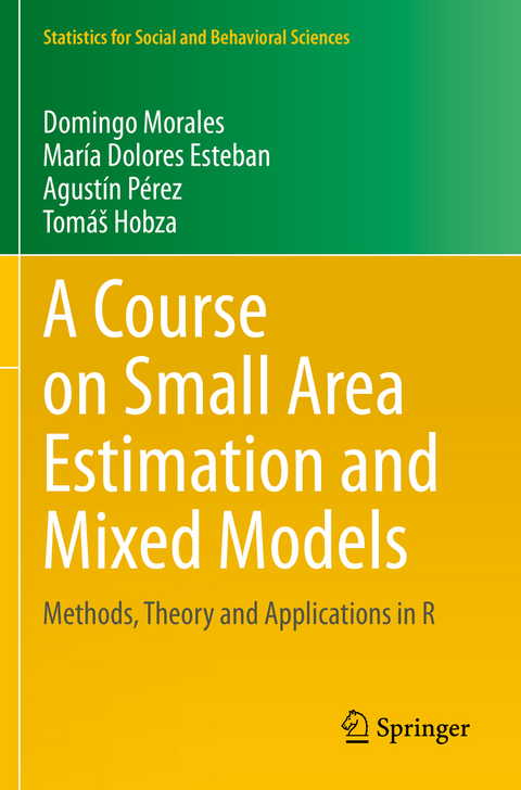 A Course on Small Area Estimation and Mixed Models - Domingo Morales, María Dolores Esteban, Agustín Pérez, Tomáš Hobza