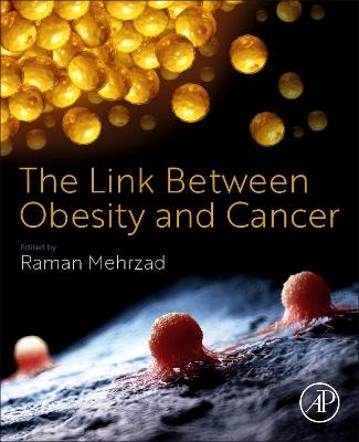 The Link Between Obesity and Cancer - 