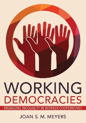 Working Democracies - Joan S. M. Meyers