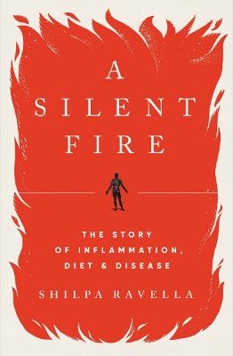 A Silent Fire - Shilpa Ravella