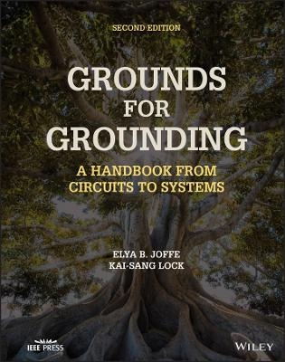 Grounds for Grounding - Elya B. Joffe, Kai-Sang Lock