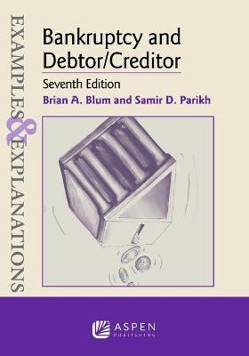 Examples & Explanations for Bankruptcy and Debtor/Creditor - Brian A Blum, Samir D Parikh