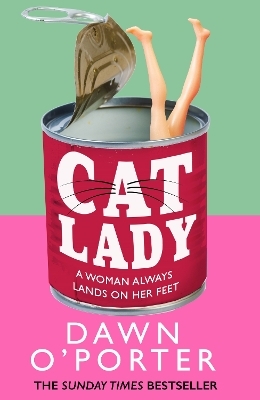 Cat Lady - Dawn O’Porter