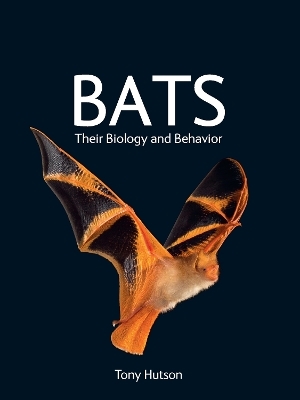 Bats - Tony Hutson