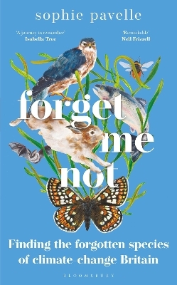 Forget Me Not - Sophie Pavelle