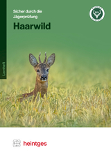 Haarwild - 