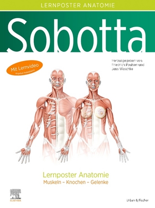 Sobotta Lernposter Anatomie - Friedrich Paulsen; Jens Waschke