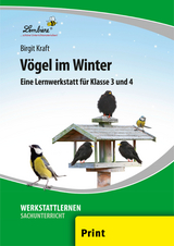 Vögel im Winter - Birgit Kraft