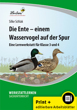 Die Ente - einem Wasservogel auf der Spur - Silke Schlak