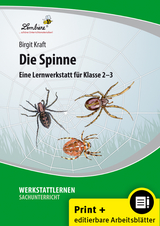 Die Spinne - Kraft, Birgit