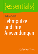 Lehmputze und ihre Anwendungen - Dietmar Schäfer