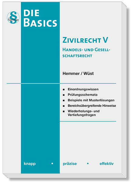 Basics Zivilrecht V - Karl-Edmund Hemmer, Achim Wüst, Clemens D'Alquen