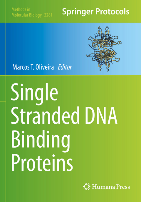 Single Stranded DNA Binding Proteins - 