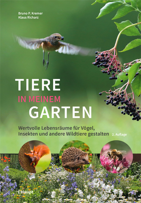 Tiere in meinem Garten - Bruno P. Kremer, Klaus Richarz