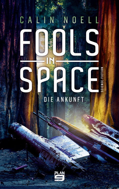 Fools in Space - Calin Noell