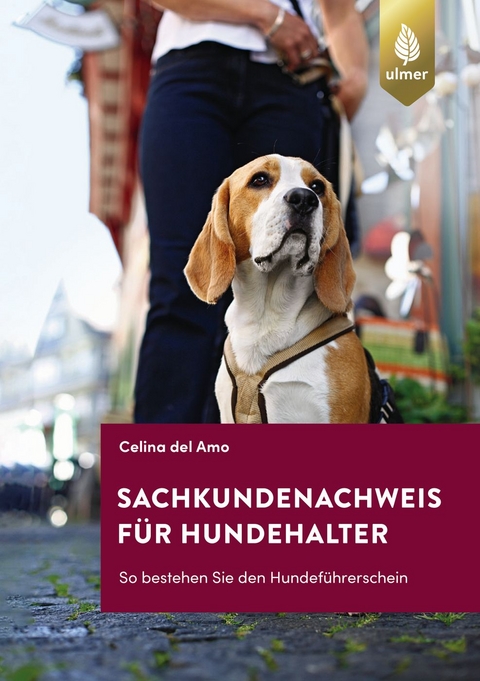 Sachkundenachweis für Hundehalter - Celina Del Amo