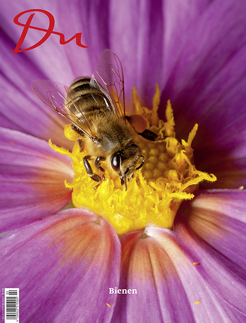 Bienen - 