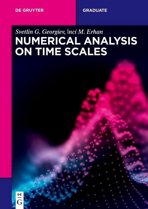 Numerical Analysis on Time Scales - Svetlin G. Georgiev, Inci M. Erhan