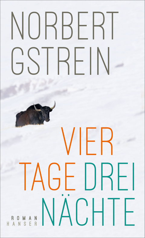 Vier Tage, drei Nächte - Norbert Gstrein