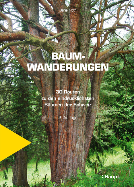 Baumwanderungen - Daniel Roth