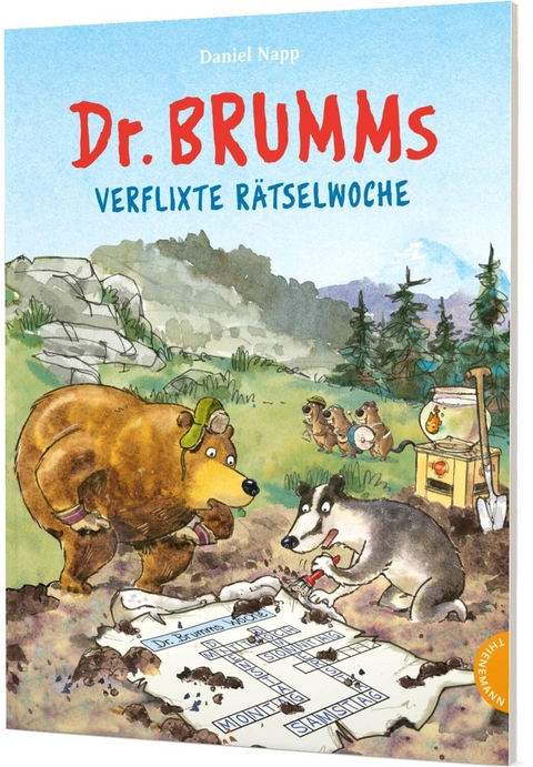 Dr. Brumm: Dr. Brumms verflixte Rätselwoche - Daniel Napp, Silke Reimers