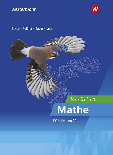 Natürlich Mathe - Mathematik für die Fachoberschulen in Hessen - Marc Roßner, Michael Sauer, Margrit Bayer, Torge Voss