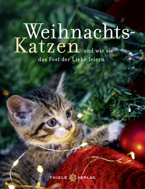 Weihnachtskatzen Geschenkbuch - 