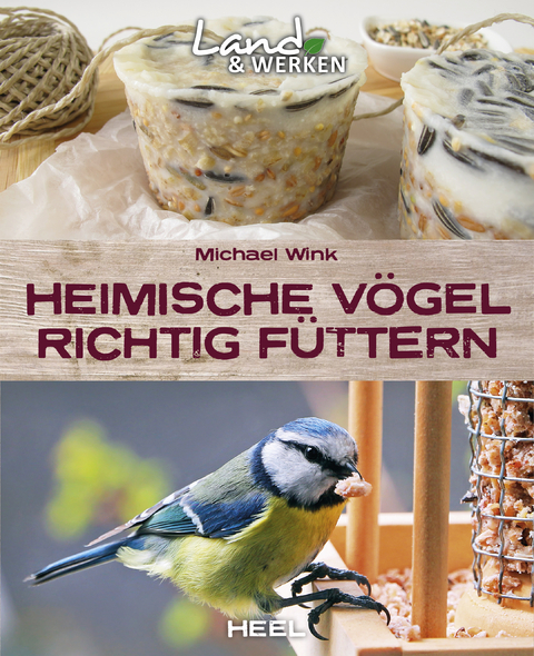 Heimische Vögel richtig füttern - 