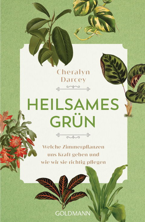 Heilsames Grün - Cheralyn Darcey