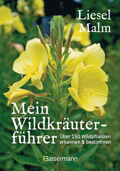 Mein Wildkräuterführer. Über 150 Wildpflanzen sammeln, erkennen & bestimmen. - Liesel Malm