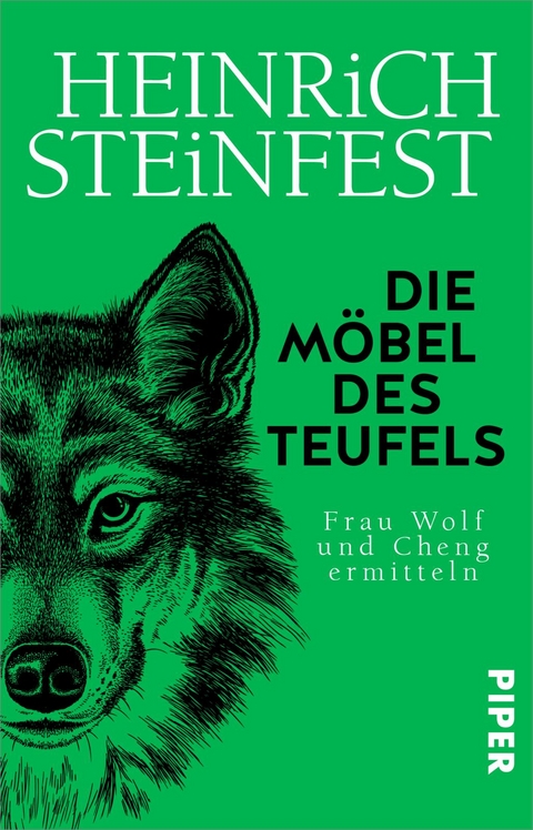 Die Möbel des Teufels - Heinrich Steinfest