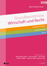 Grundkenntnisse Wirtschaft und Recht - Aymo Brunetti, Adrian S. Müller, Vera Friedli, Renato C. Müller Vasquez Callo, Rahel Balmer-Zahnd